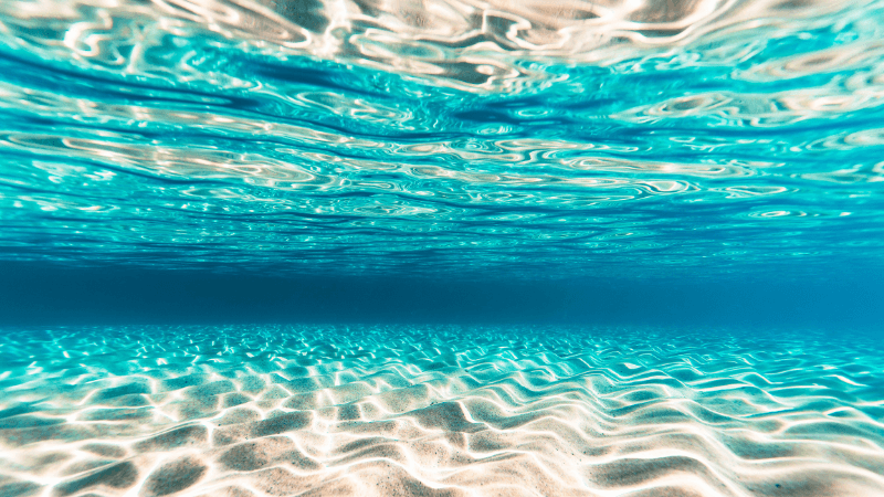 水面が輝く浅瀬の水中